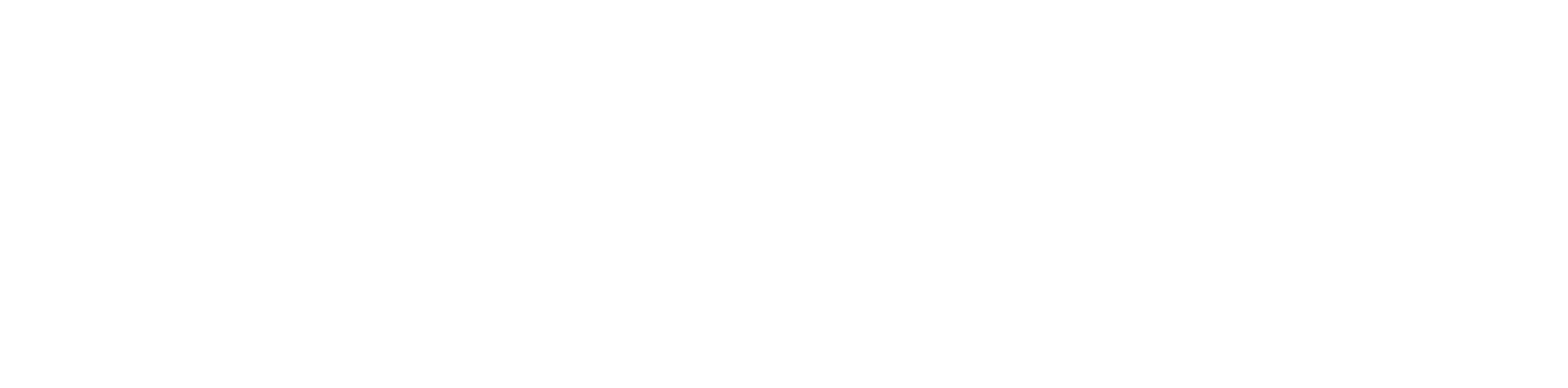 Coinflex full logo white